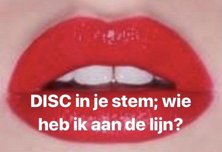 DISC in je stem; Wie heb ik aan de lijn?
